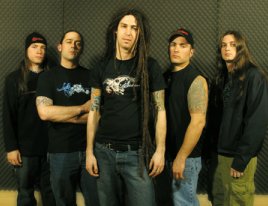 Shadows Fall